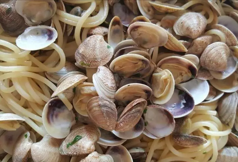 בית מלון כפרי Camelia