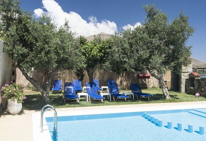 ホテル Olive Tree Apartments