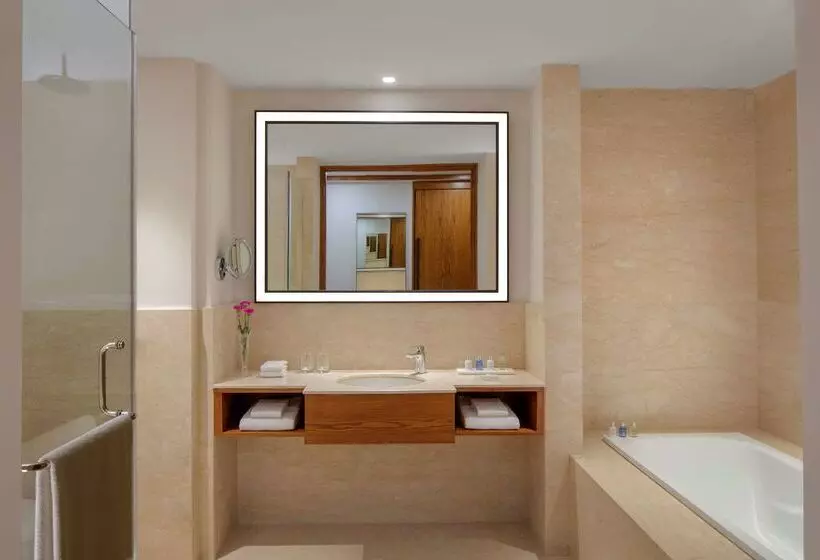 Radisson Blu Plaza Hotel Mysore