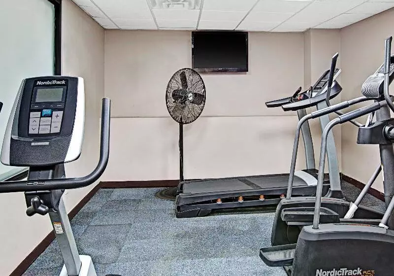 汽车旅馆 Super 8 By Wyndham Jamaica North Conduit