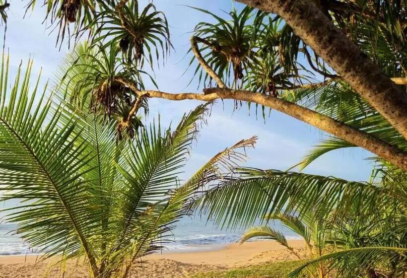 Hotelli Golden Beach Paradise