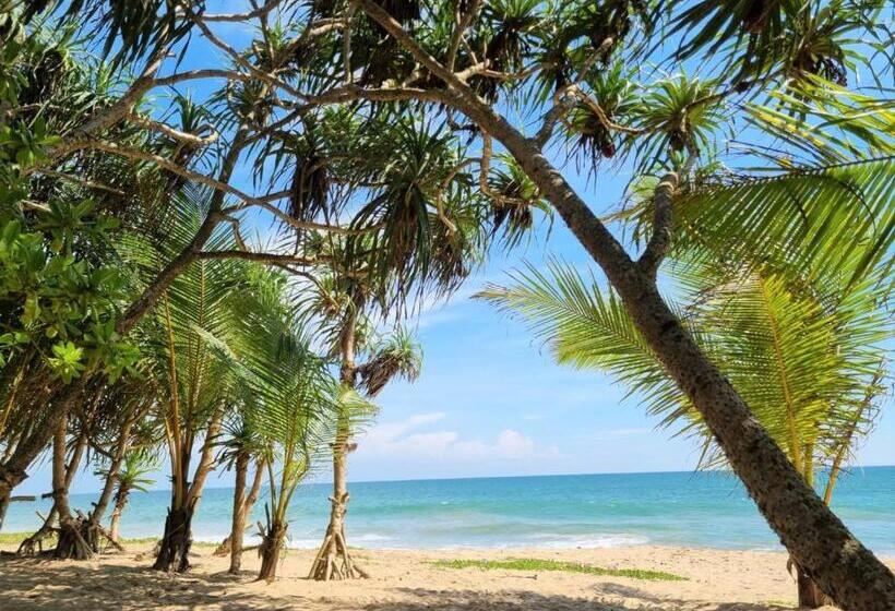 בית מלון כפרי Golden Beach Paradise