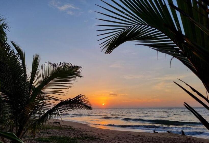 בית מלון כפרי Golden Beach Paradise