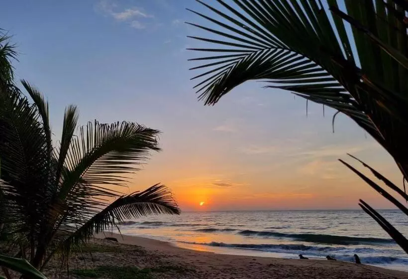 Hotelli Golden Beach Paradise