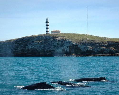 ペンション Pousada Oliveiras