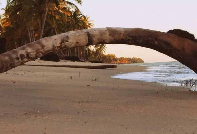 ペンション Pousada Oliveiras