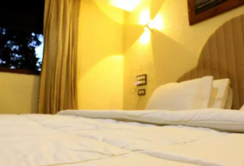 ベッドアンドブレックファースト Treebo Majestic Palms, 2 Km From Colva Beach