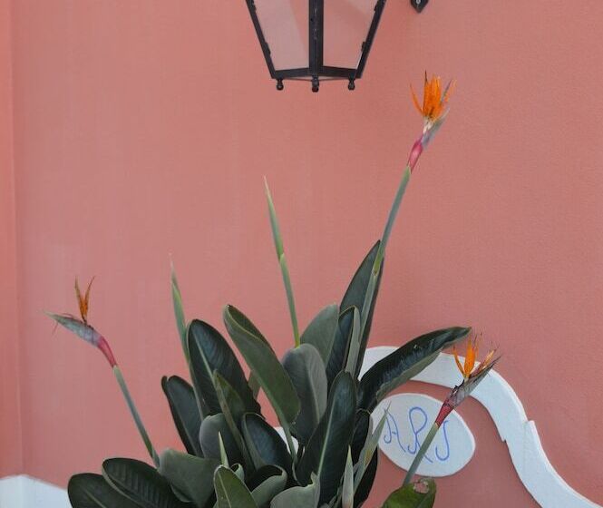 تختخواب و صبحانه Villa Bela Vista