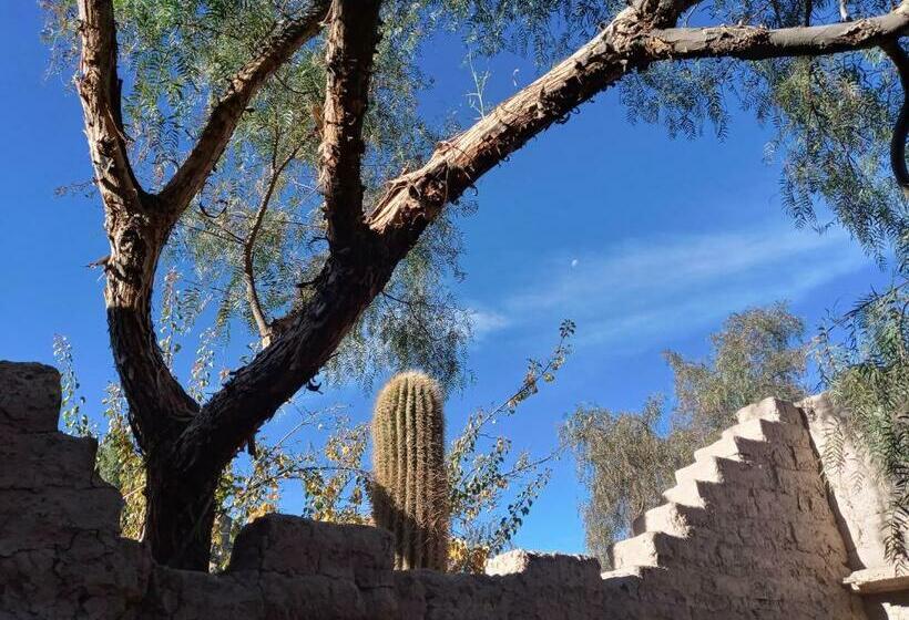 Cabaña Flor De Cardón Juella
