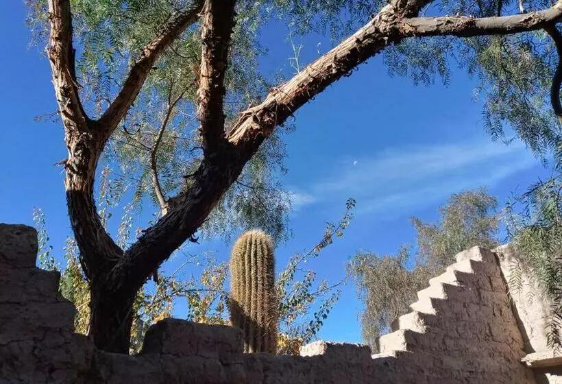 Cabaña Flor De Cardón Juella