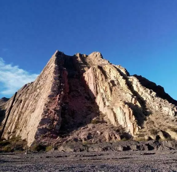 Cabaña Flor De Cardón Juella