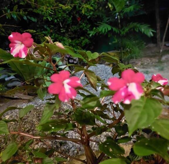 Pension (Hôtel basse catégorie) Pasindu Place