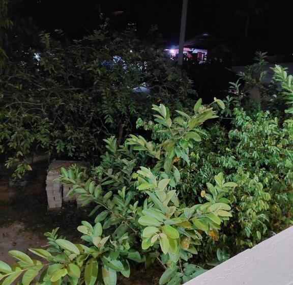 Pension (Hôtel basse catégorie) Pasindu Place