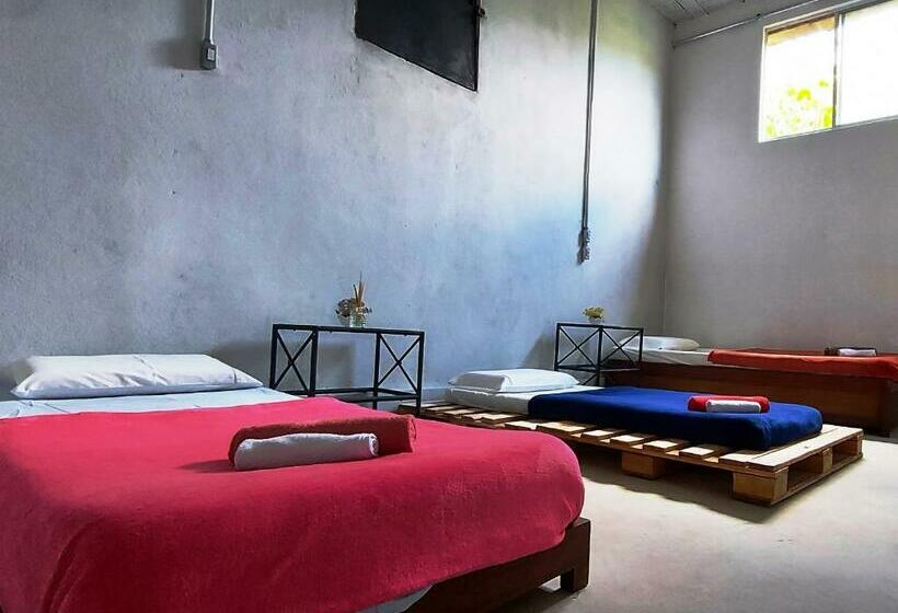 膳宿费 Pousada Vila Da Serra Quarto Sabiá