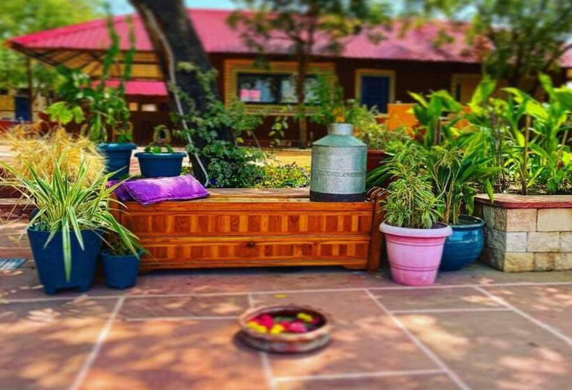 Отель Book Rooms & Villa  Bairagarh Living Farm Stay