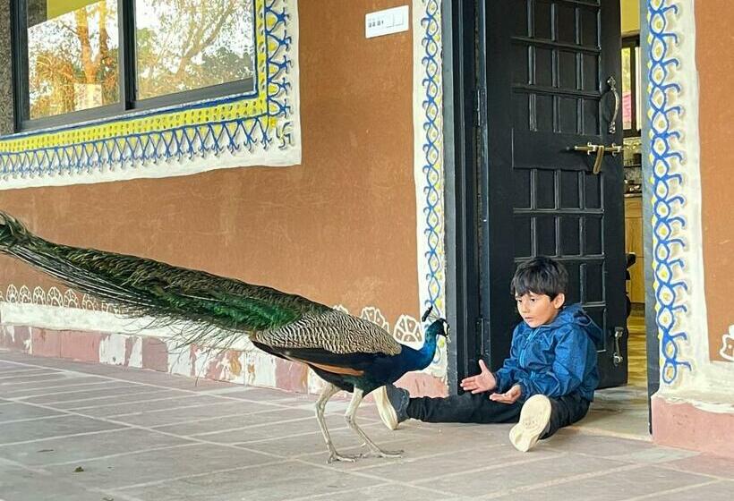 Отель Book Rooms & Villa  Bairagarh Living Farm Stay