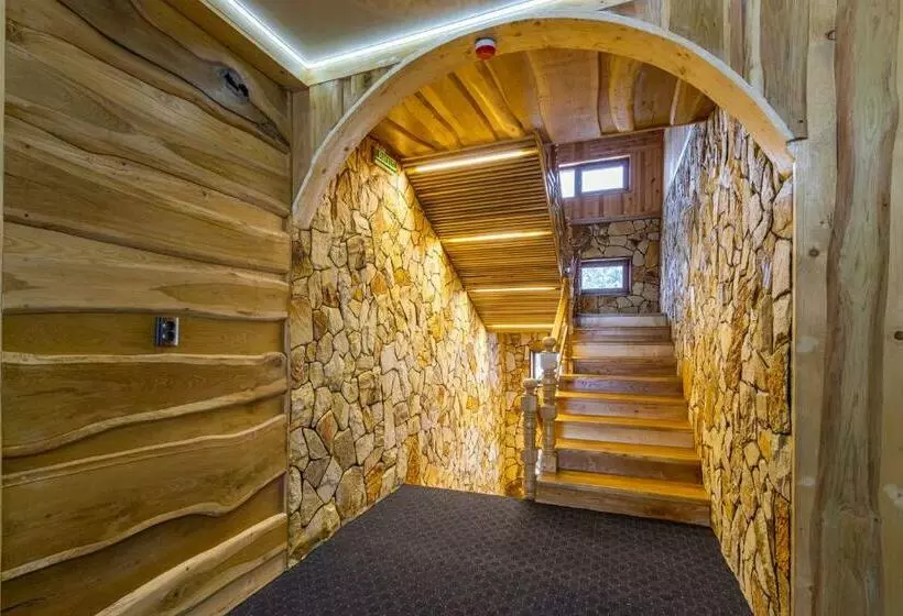 ホテル Rich Oak   готель з відкритим панорамний басейном