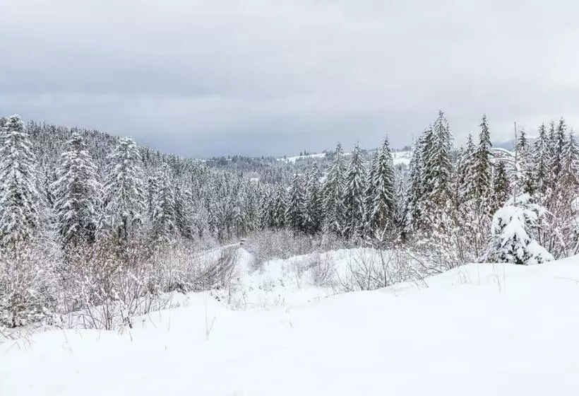 ホテル Rich Oak   готель з відкритим панорамний басейном