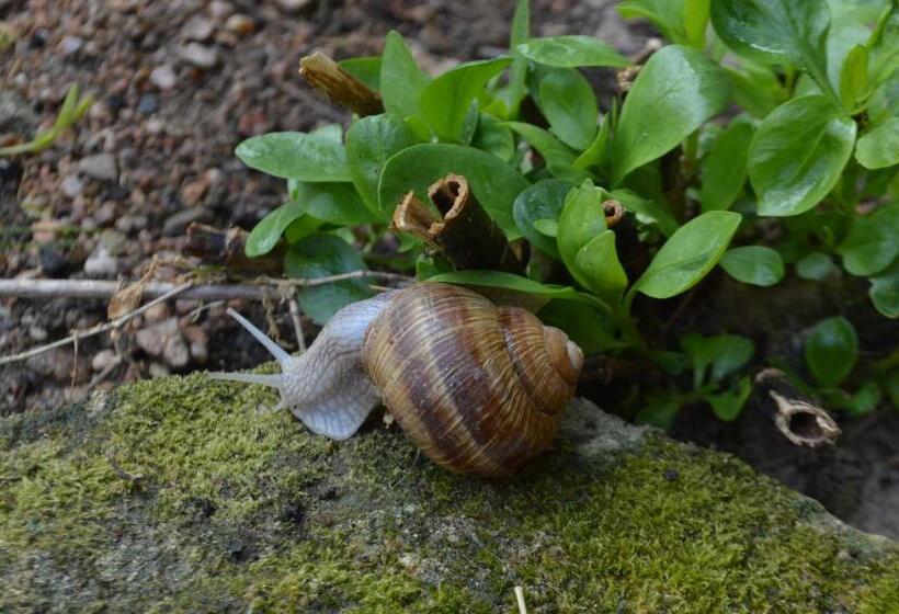 ペンション Chambres D Hôtes La Maison D Après