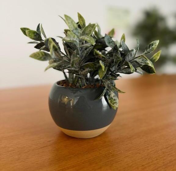 Aliança Café & Hostel