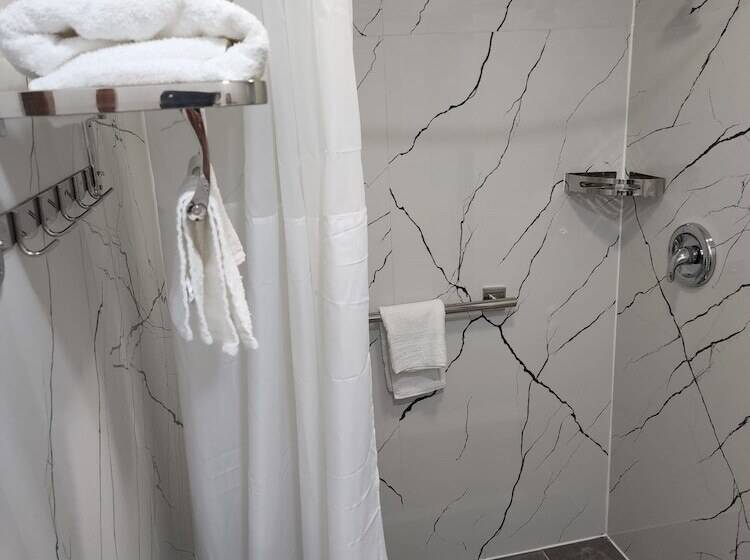 ホテル Lone Star Inn