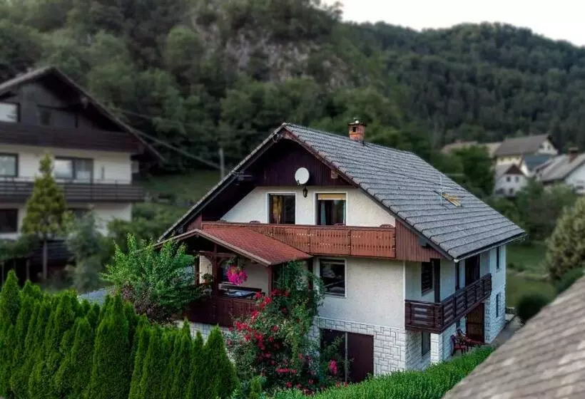 پانسیون Alp House