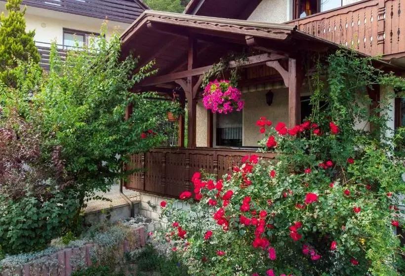 پانسیون Alp House