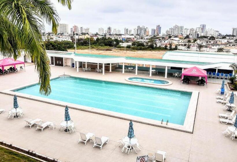 ペンション Dulcinea Mini House