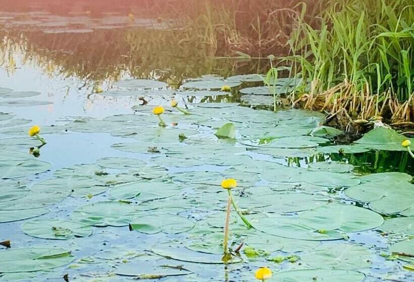 Ausflugsrestaurant & Pension Aalbude & Hausfloßvermietung Am Kummerower See