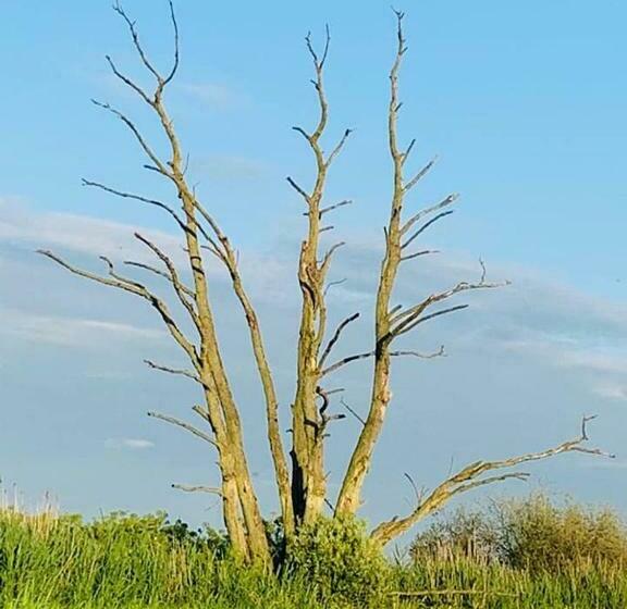 Ausflugsrestaurant & Pension Aalbude & Hausfloßvermietung Am Kummerower See