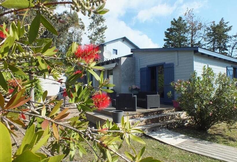 Bed and Breakfast Casa Turchina Chambre Avec Piscine Privée