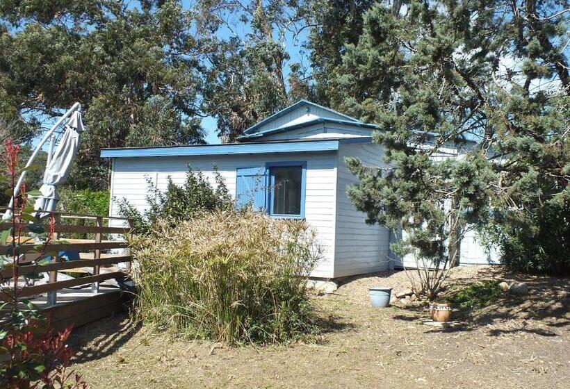 Bed and Breakfast Casa Turchina Chambre Avec Piscine Privée