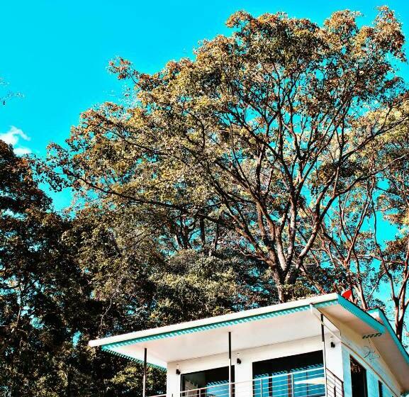 Ocean S Breeze Apartment And Rooms