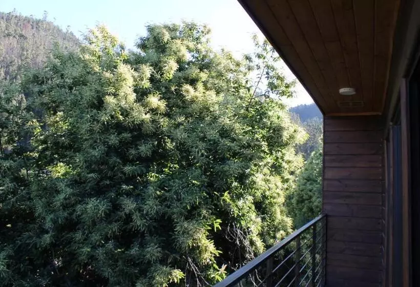 Bancoarena Hotel   Refugio Ribera