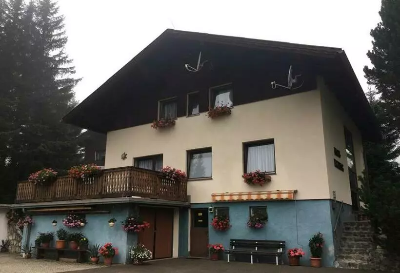 ベッドアンドブレックファースト Haus Erzberg