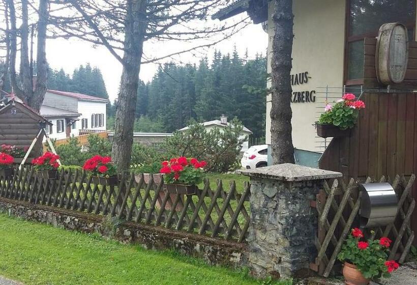 Bed and Breakfast Haus Erzberg