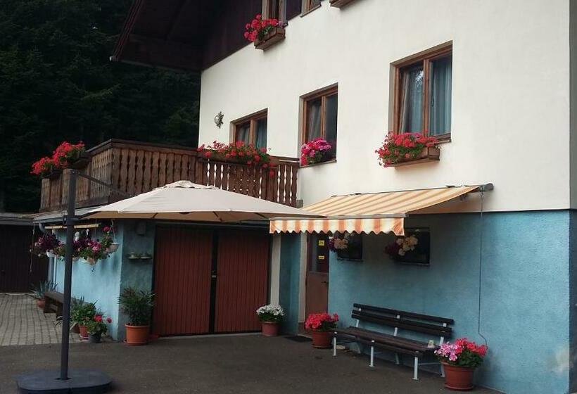 Bed and Breakfast Haus Erzberg