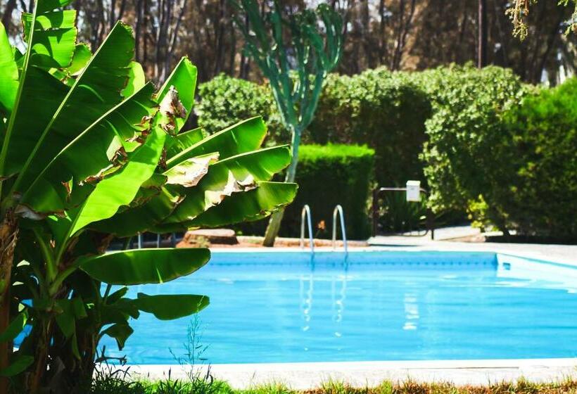 پانسیون Moon Light Studio