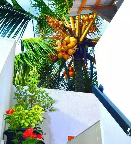 Majatalo Senero House