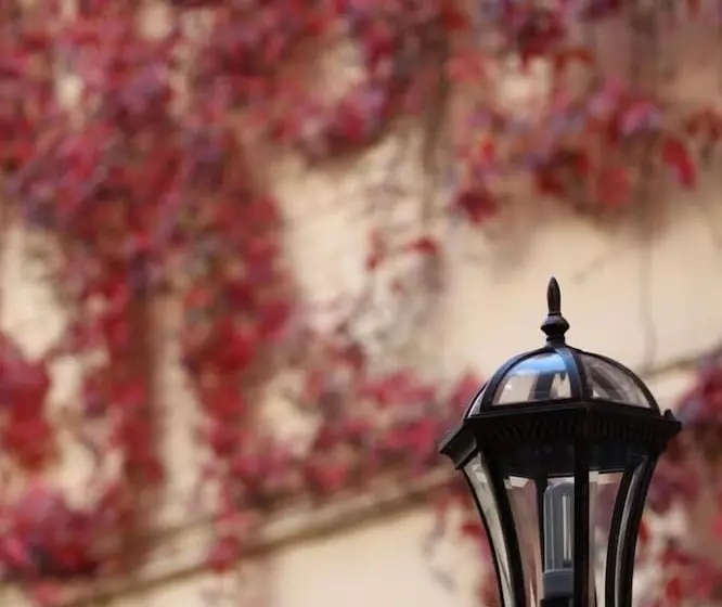 酒店 Austrian Yard At Furshtatskaya 45