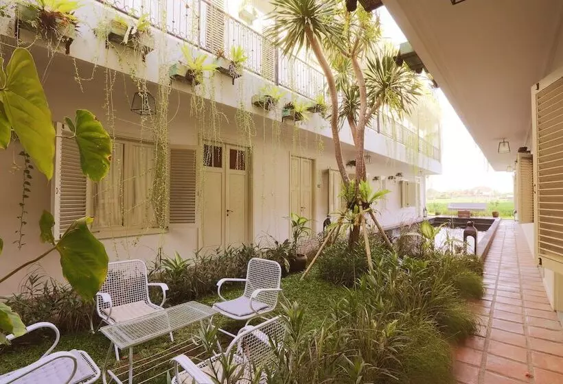 בית מלון כפרי Brown Feather