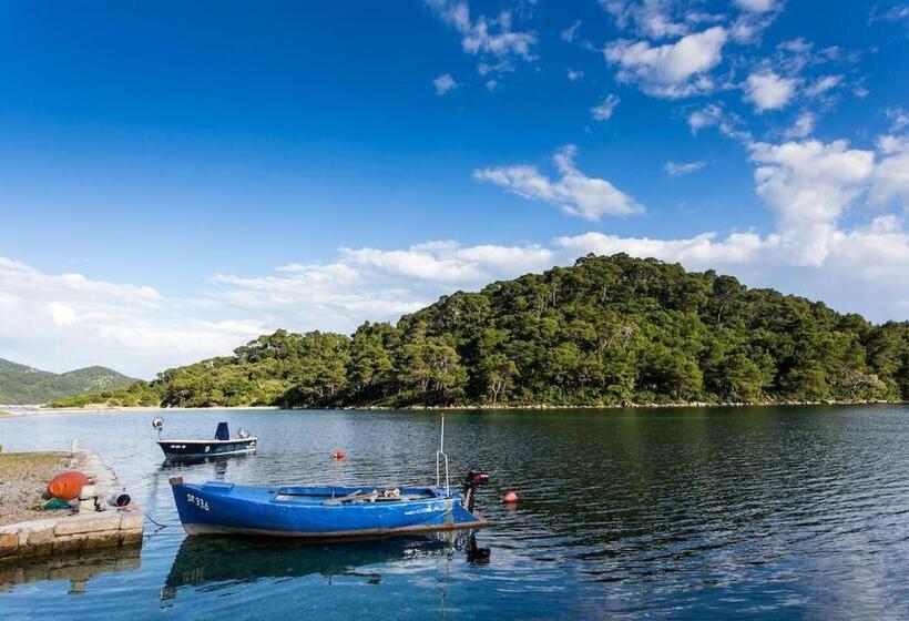 Отель Guest House Pikala