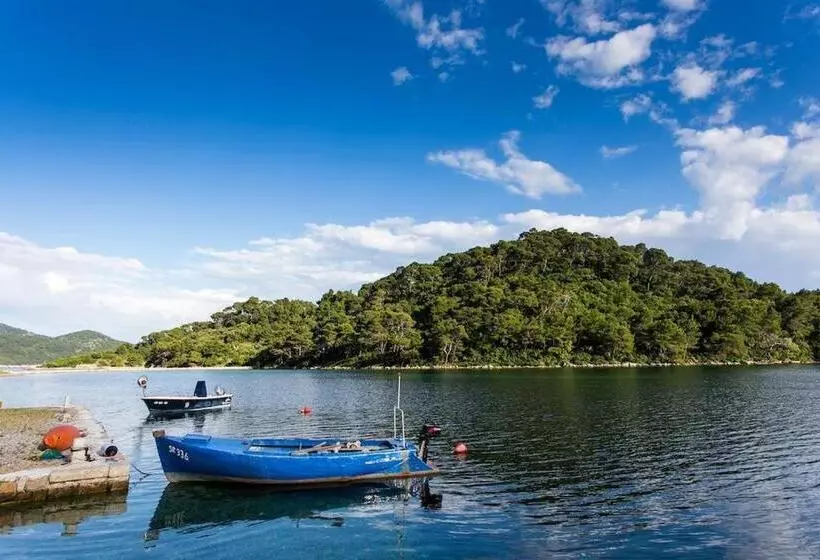 בית מלון כפרי Guest House Pikala