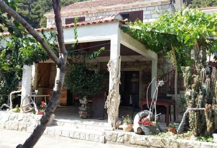 בית מלון כפרי Guest House Pikala