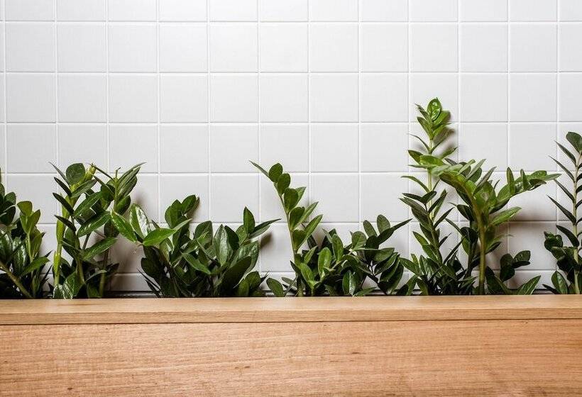 בית מלון כפרי Lakes