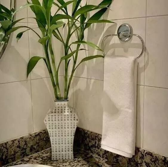 هتل Surin Bay Inn