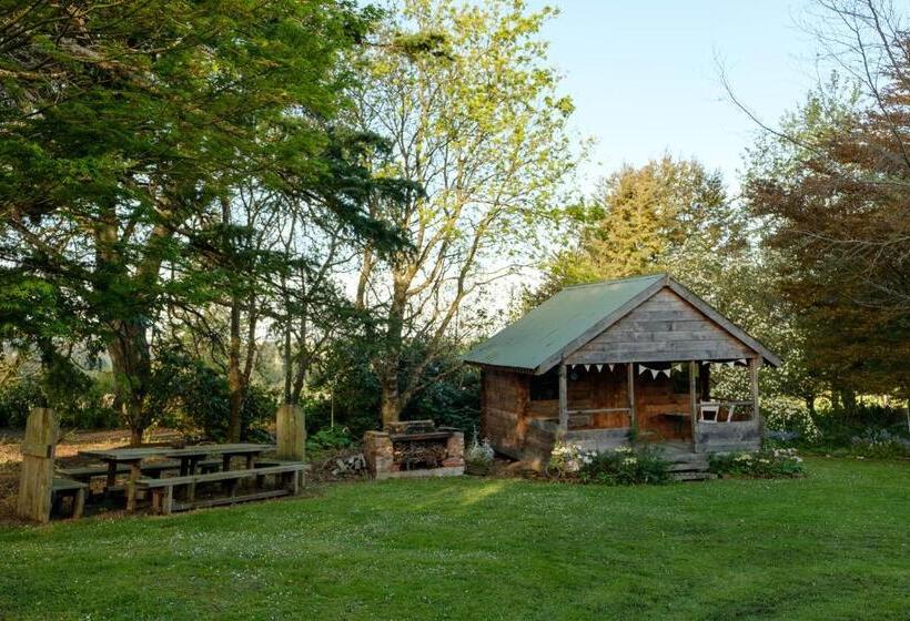 Bed and Breakfast Waikonini Homestead