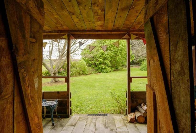 Bed and Breakfast Waikonini Homestead