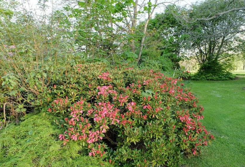 Bed and Breakfast Waikonini Homestead