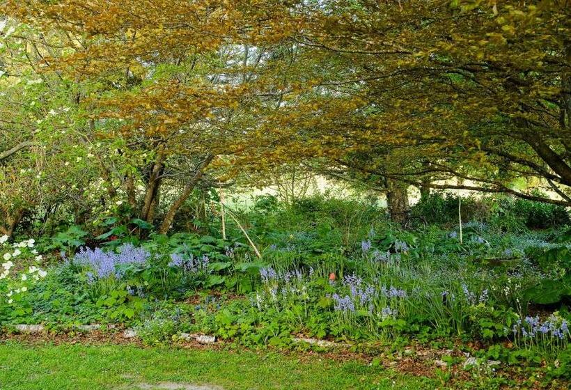 Bed and Breakfast Waikonini Homestead